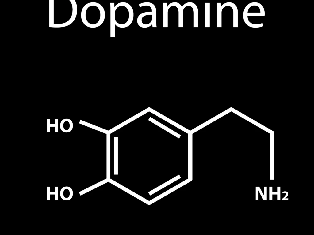 dopamine-formula